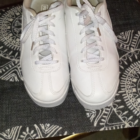 Pumas - Picture 8 of 12